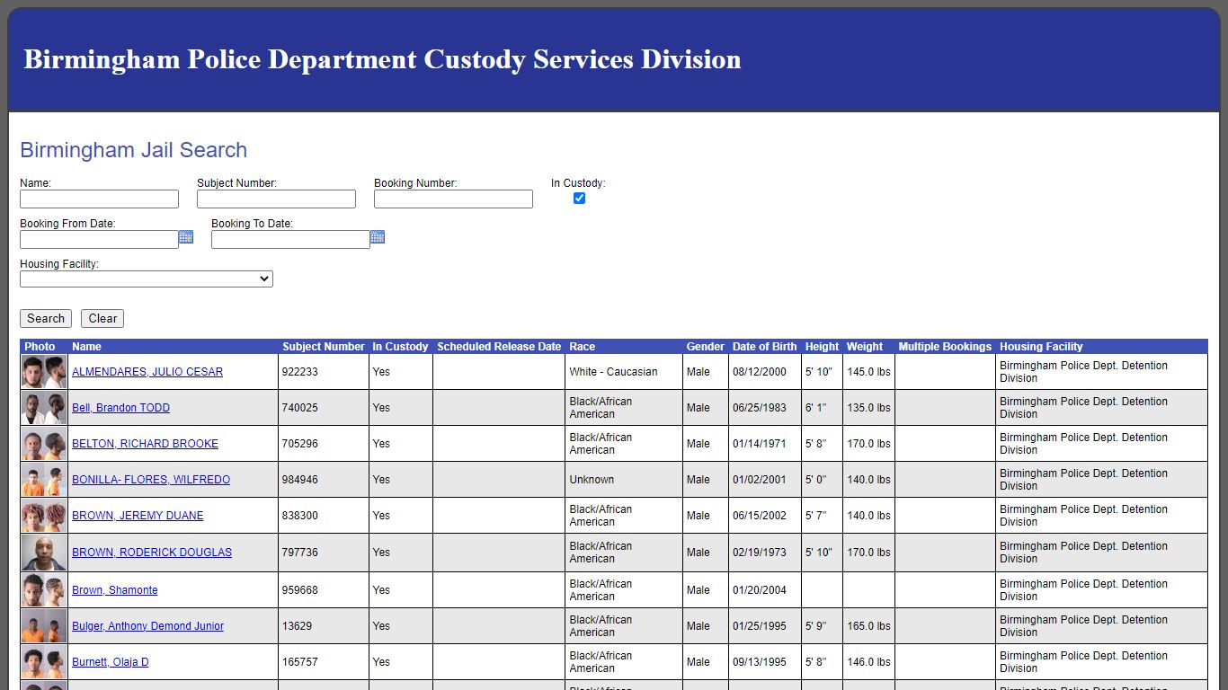 Birmingham Jail Search
